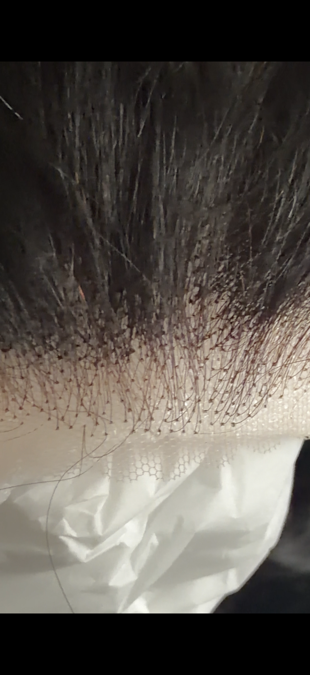 12” Straight Human Hair Wig | 13x4 Transparent Lace | Glueless | 200% Density